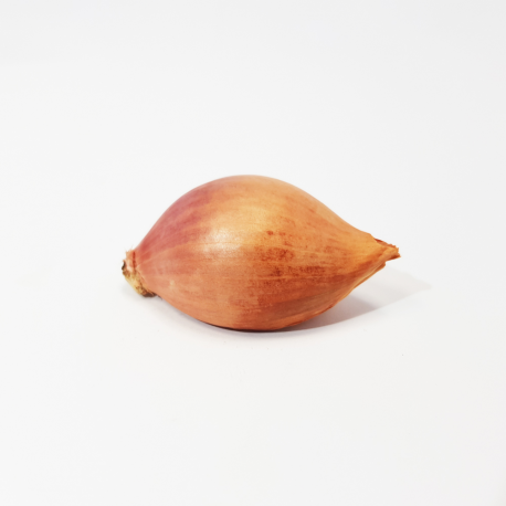 Echalote