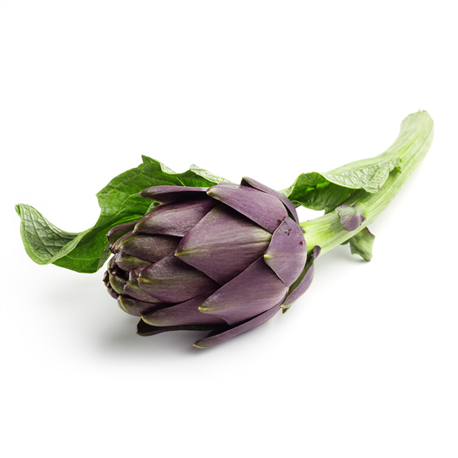 Artichaut violet (bouquet)
