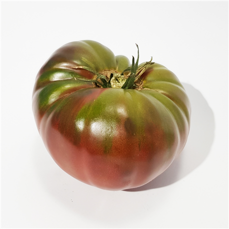 Tomate noire