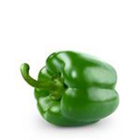 Poivron vert