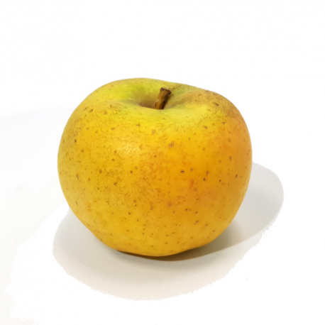 Pomme Chanteclerc grosse
