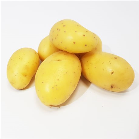 Pomme de terre Agata sac de 10 kg