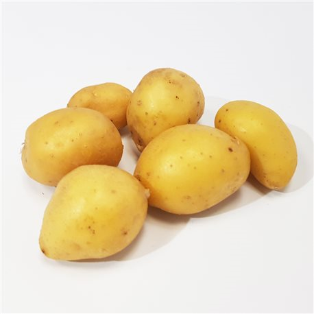Pomme de terre grenaille (Baghera)