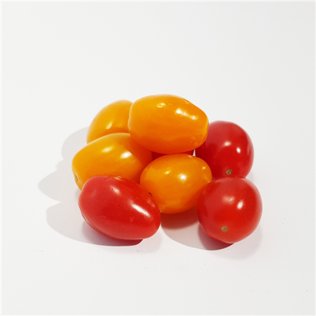 Tomates Coeur de pigeon - mélange jaune & rouge