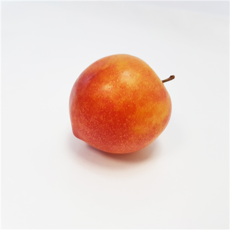 Prune abricot