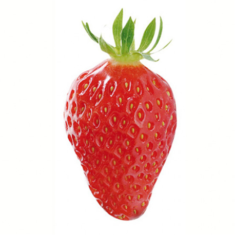 Fraise Gariguette 250gr