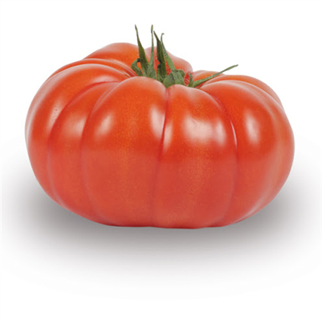 Tomate "Coeur"