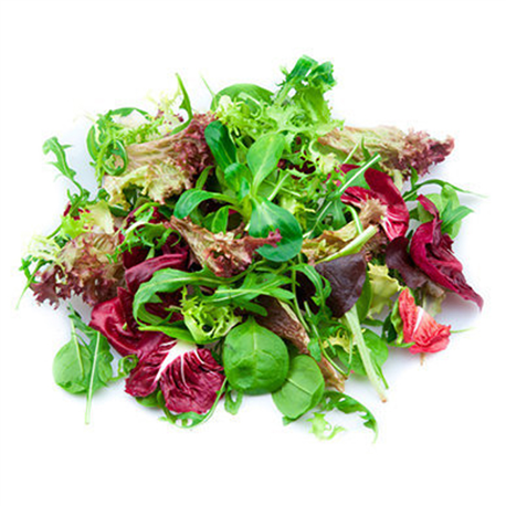 Salade Mesclum barquette
