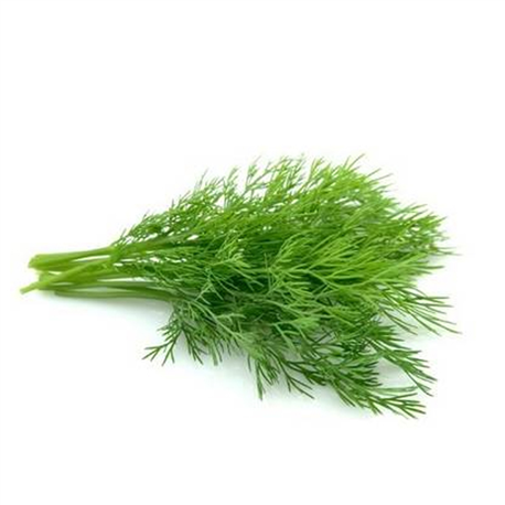 Barquette d'herbes - aneth